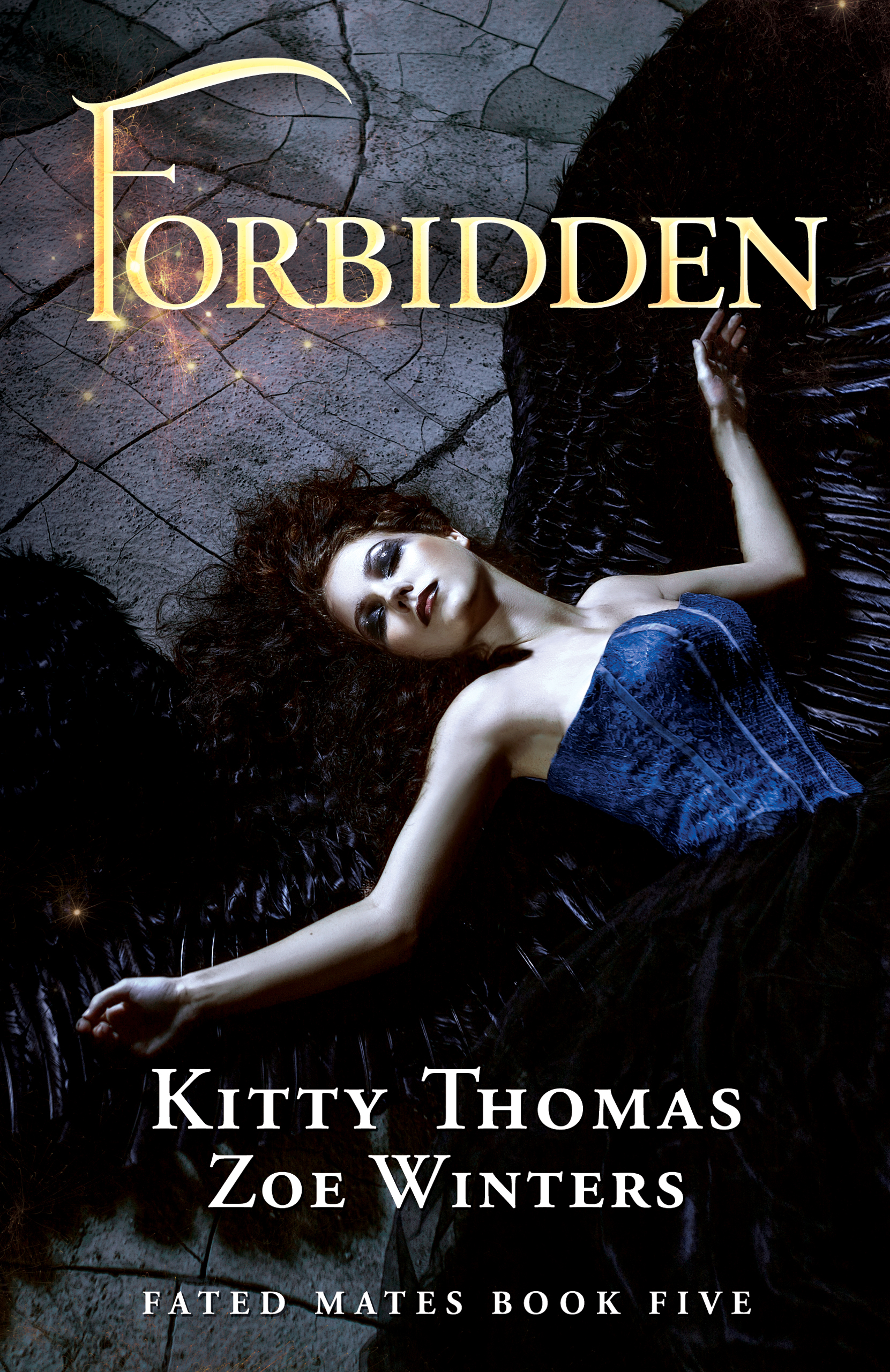 Forbidden book cover
