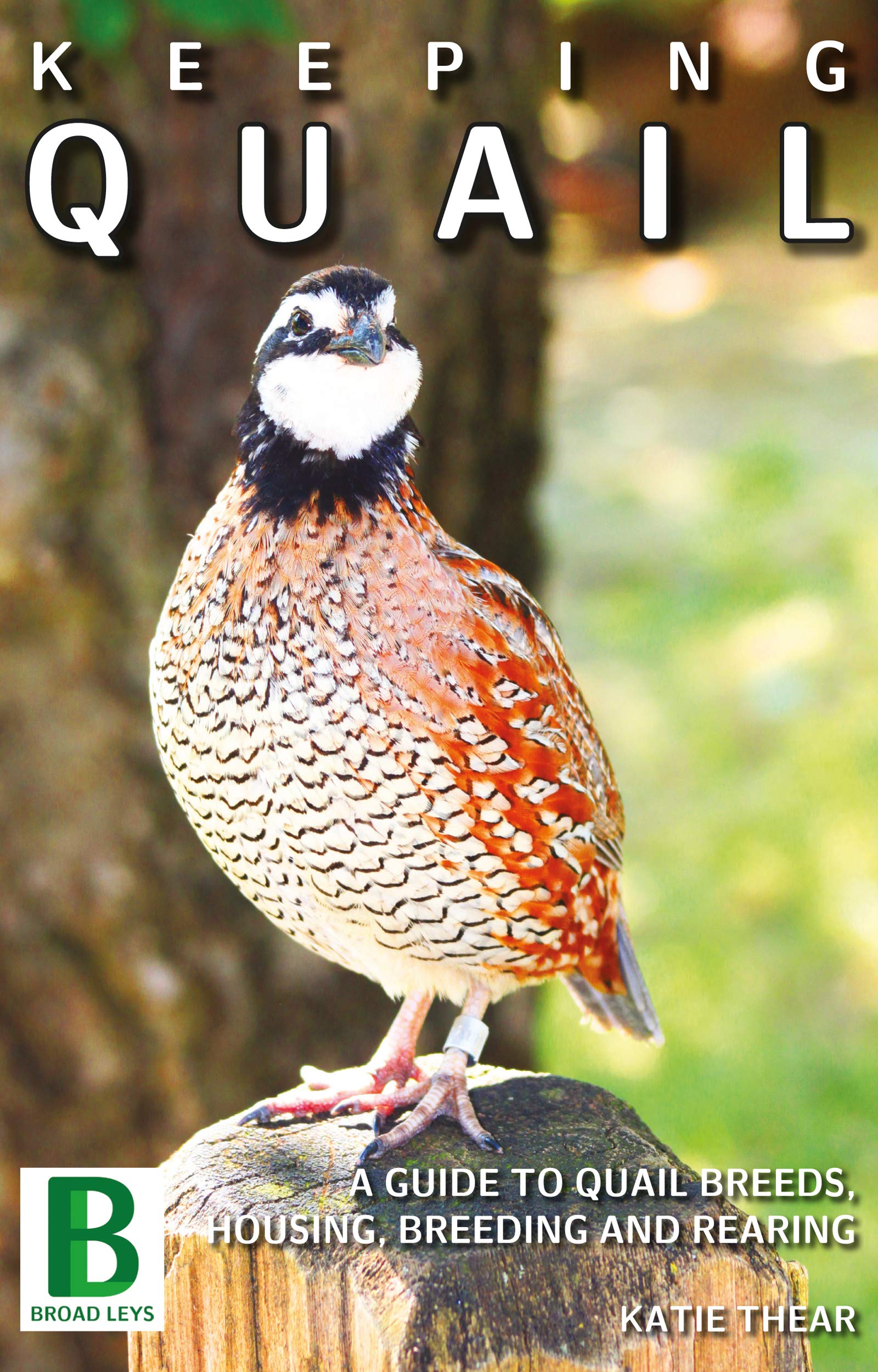 Keeping Quail A Practical Guide to Quail Breeds, Housing, Breeding and