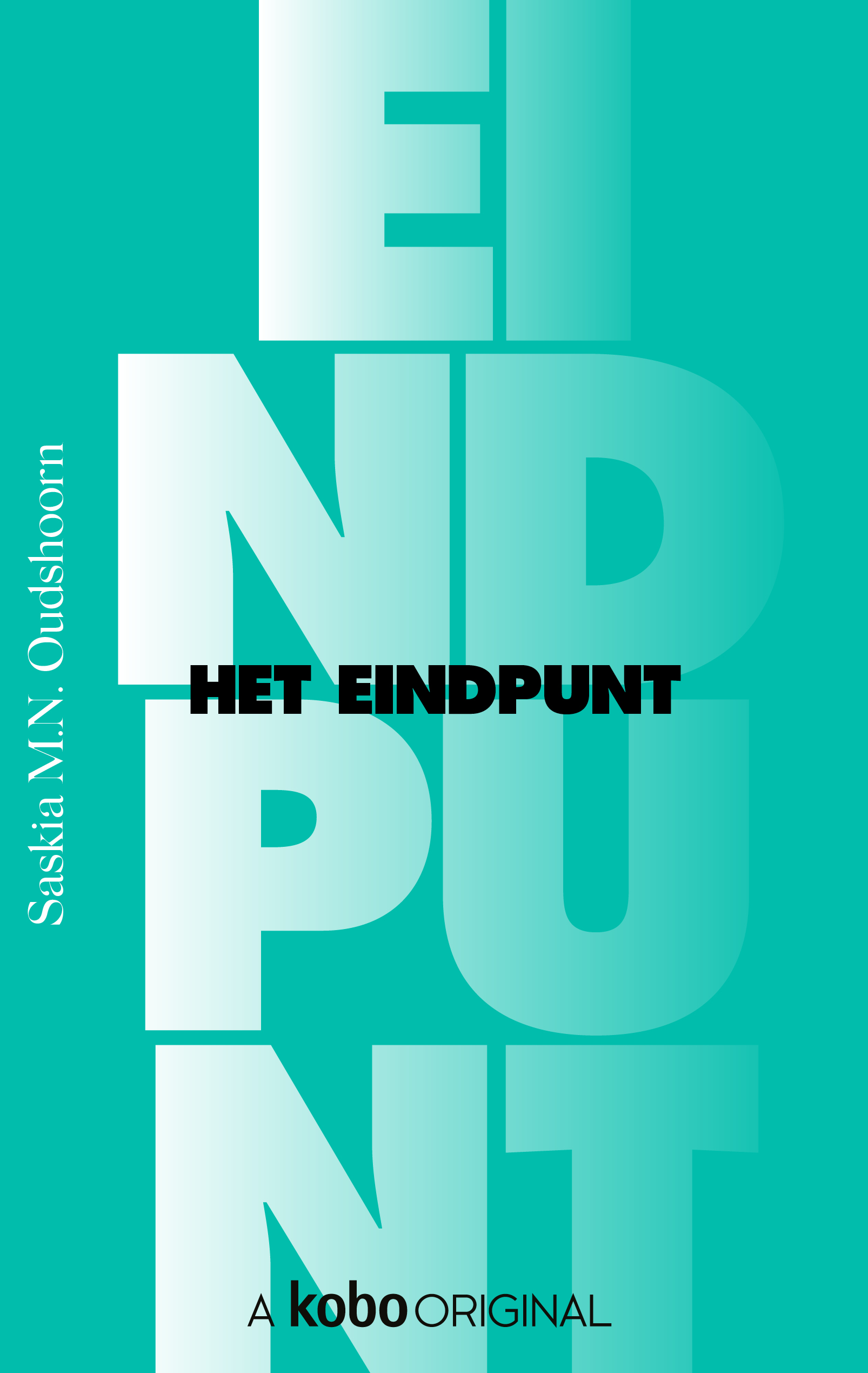 Vastgelegd book cover 2