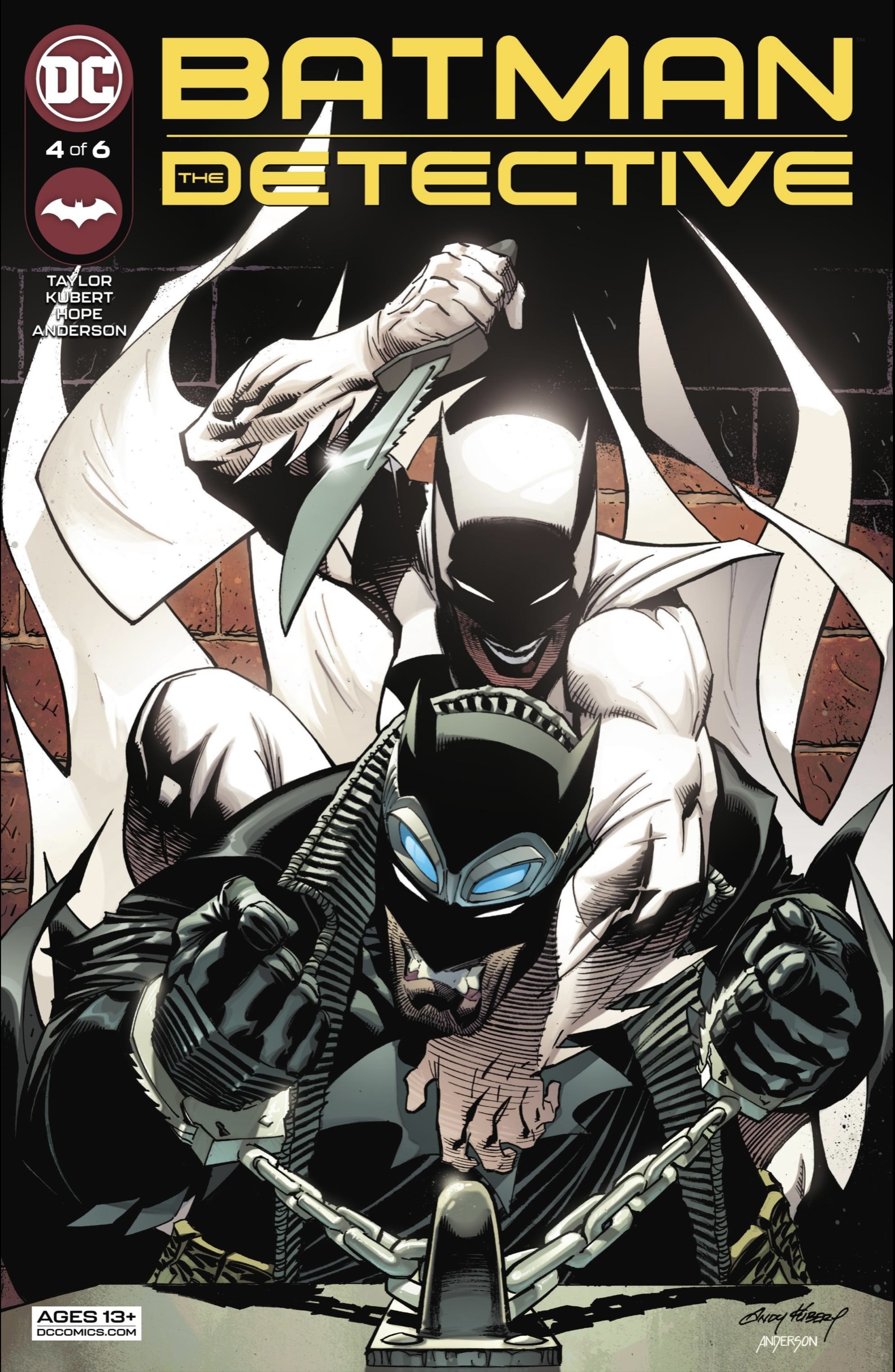 Batman book cover