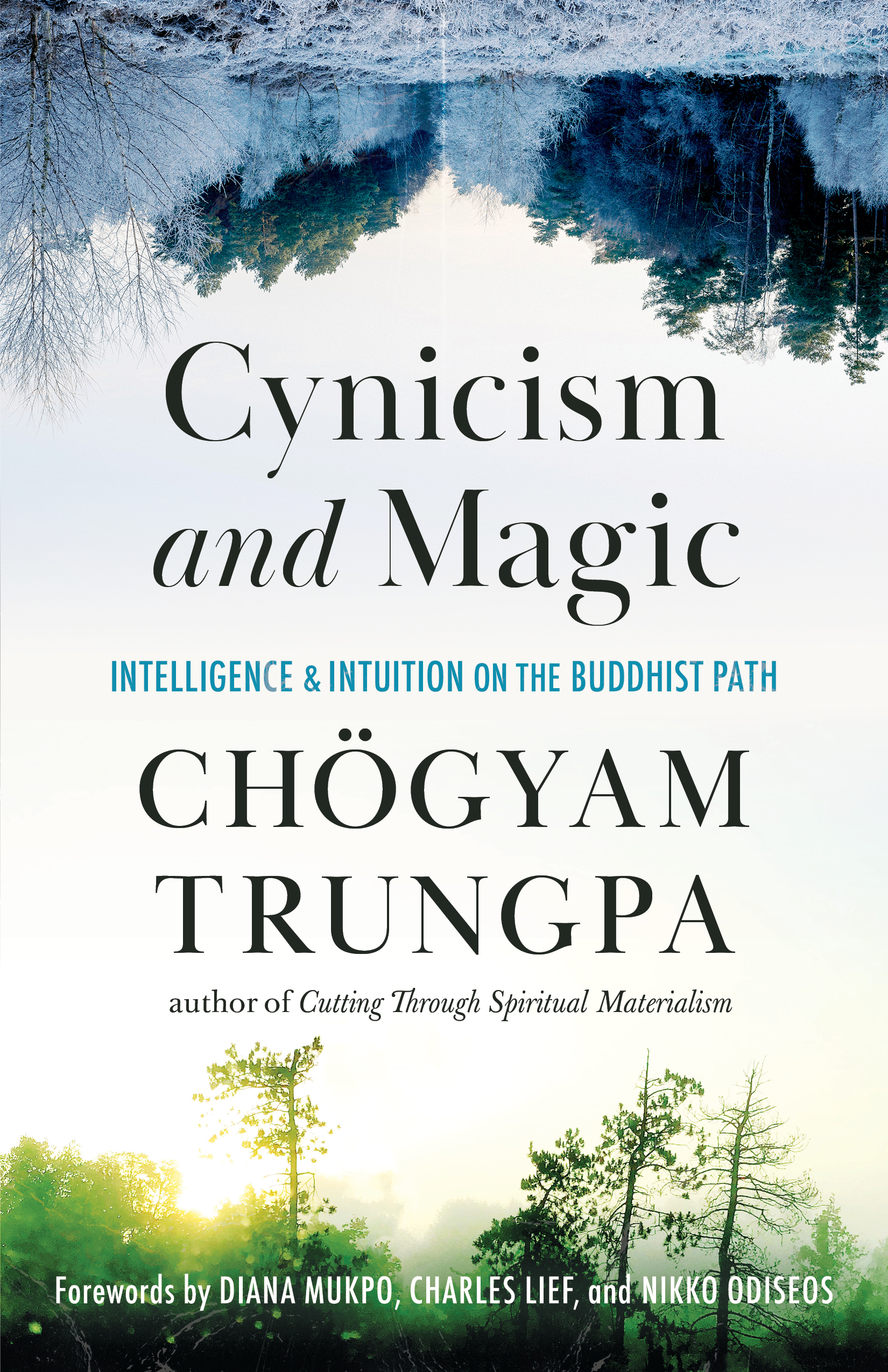 Cynicism and Magic book cover
