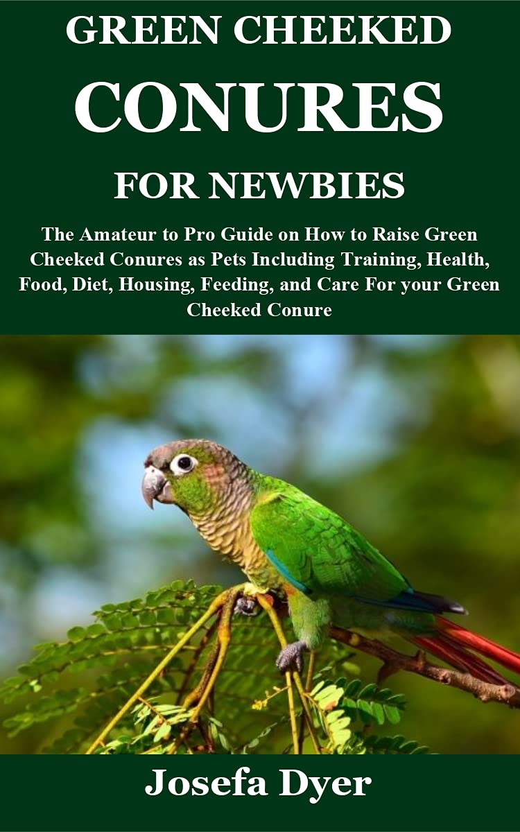 GREEN CHEEKED CONURES FOR NEWBIES The Amateur to Pro Guide on How to