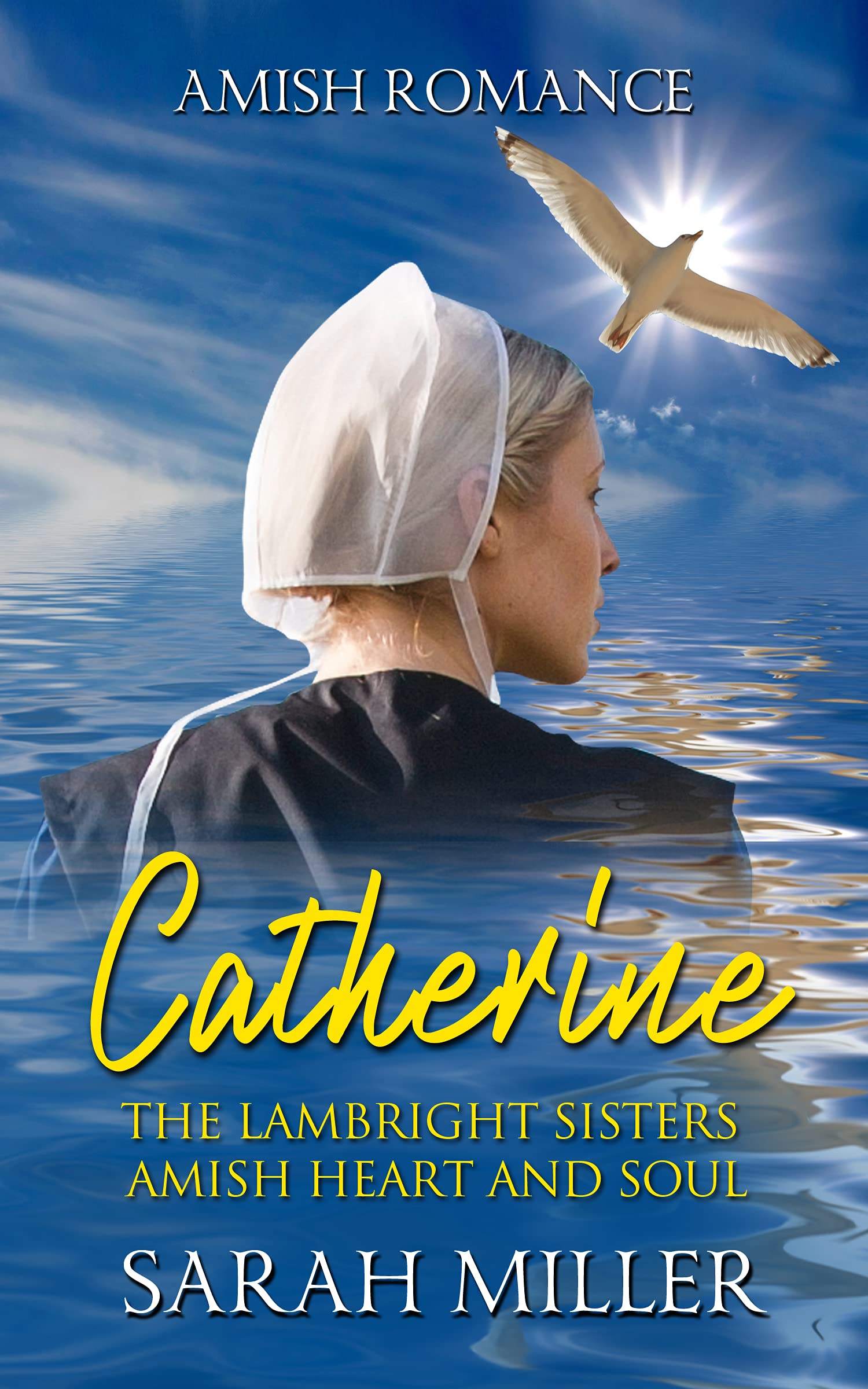 The Lambright Sisters - Catherine book cover