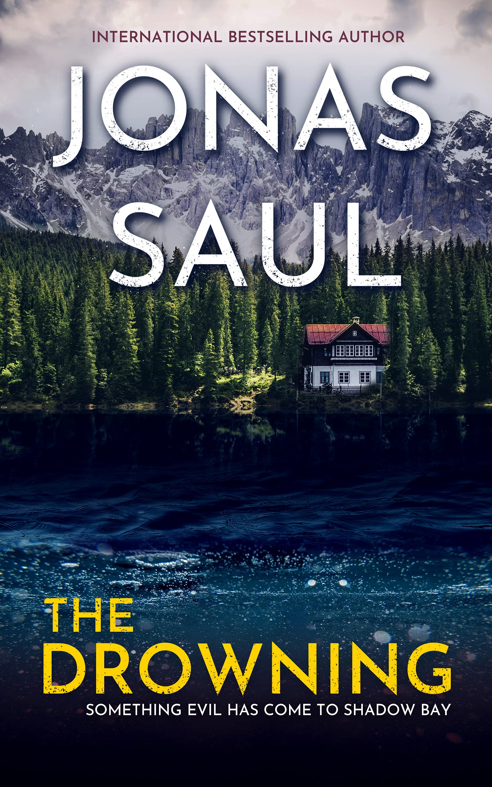 The Drowning book cover