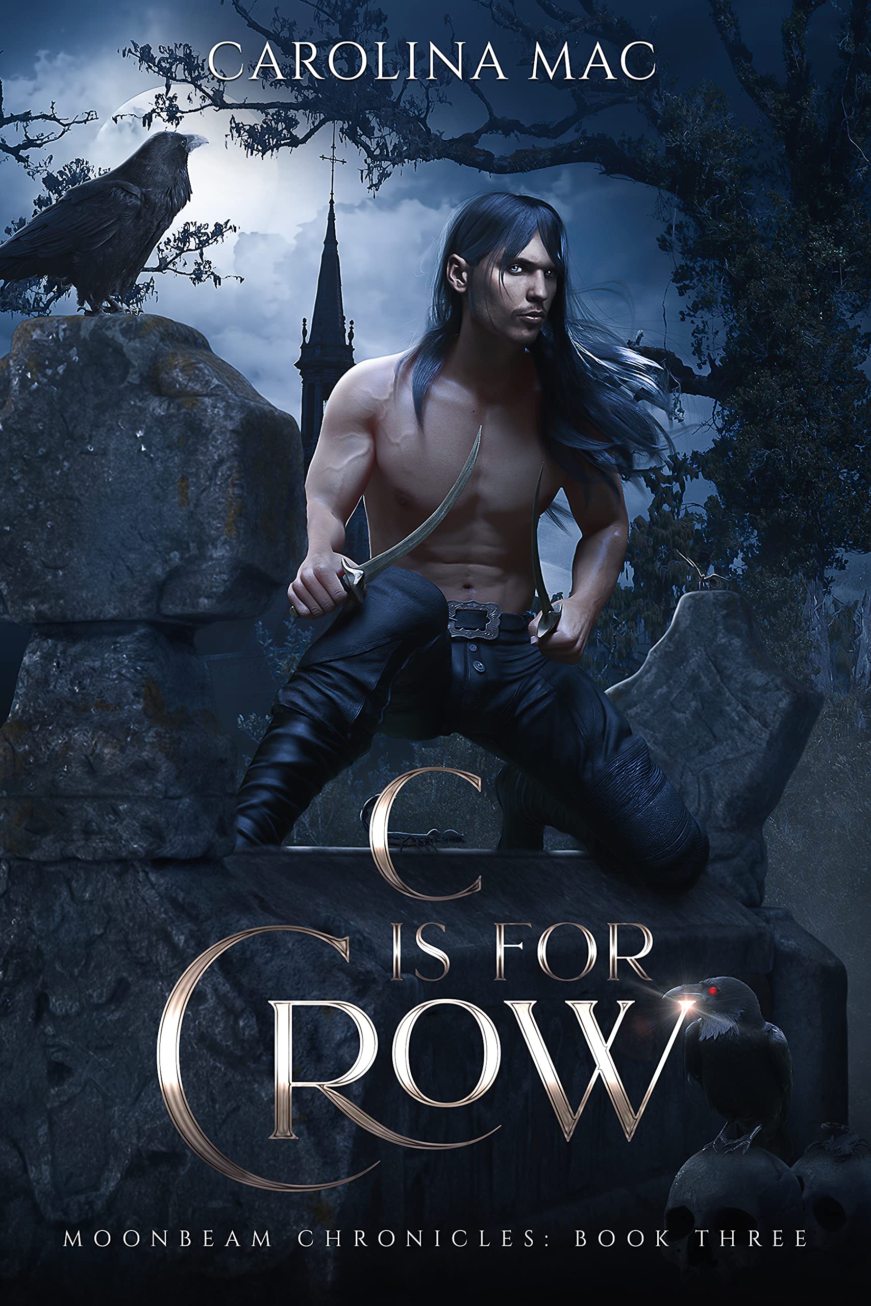 C is for Crow book cover