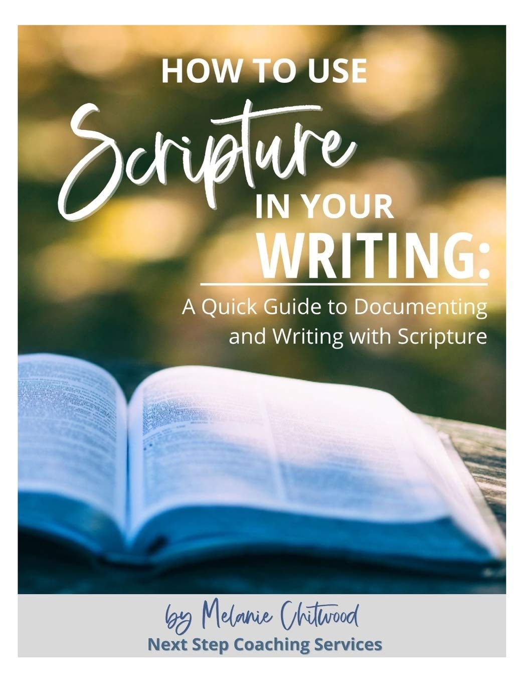 How to Use Scripture in Your Writing:: A Quick Guide to Documenting and ...