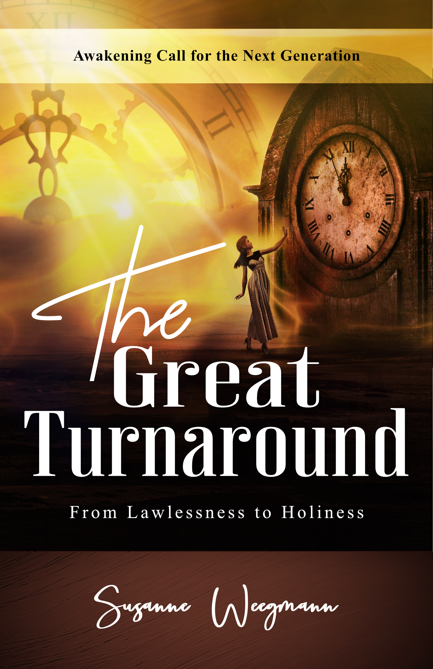 The Great Turnaround by Susanne Weegmann | Goodreads