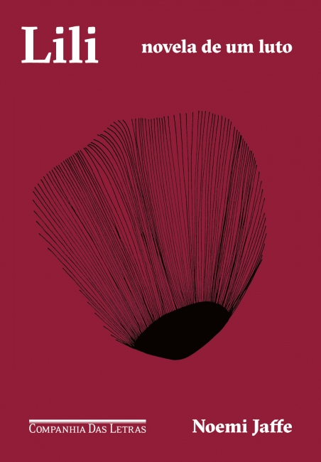 Lili book cover