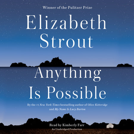 Anything Is Possible (Amgash, #2)