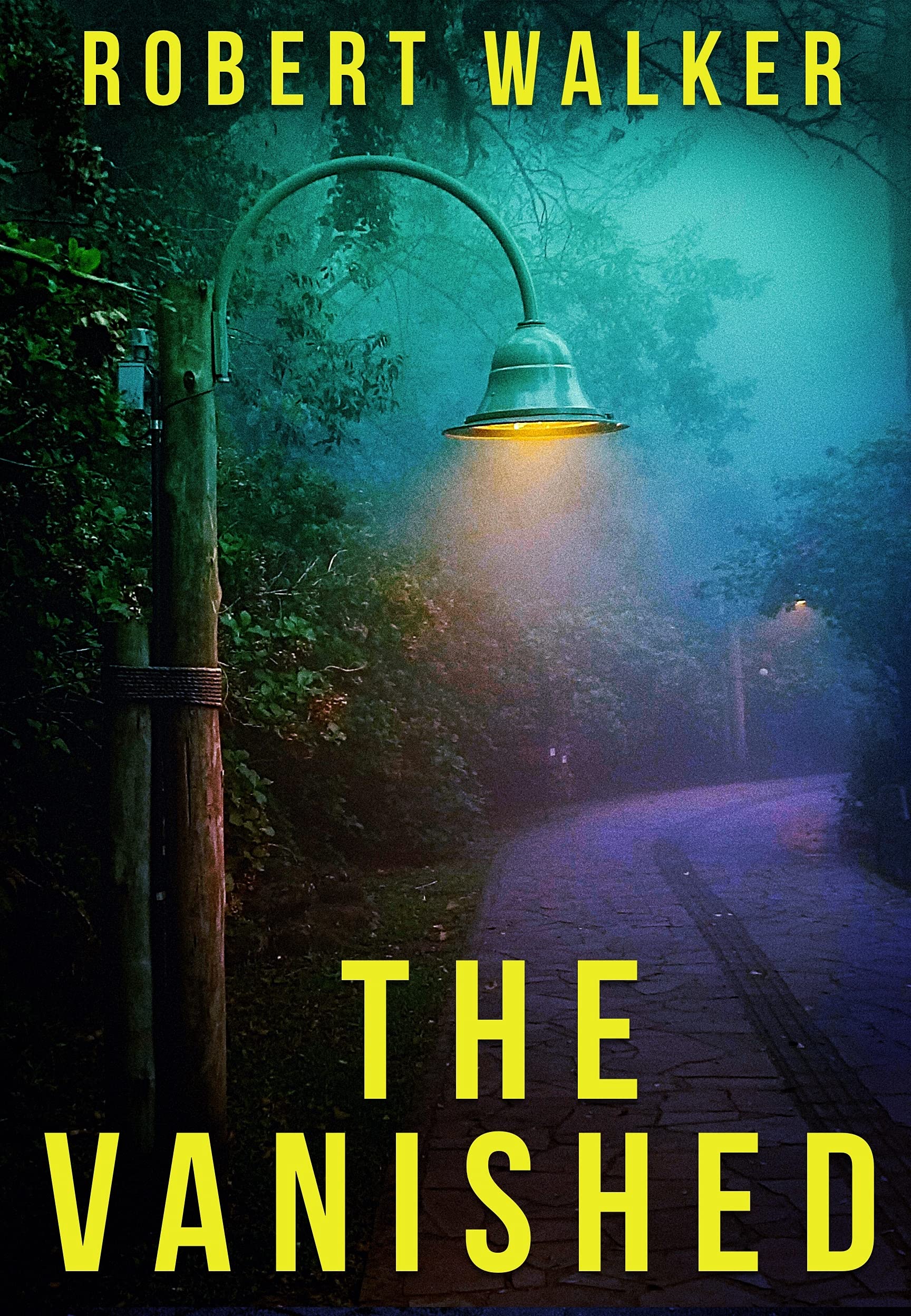 The Vanished book cover