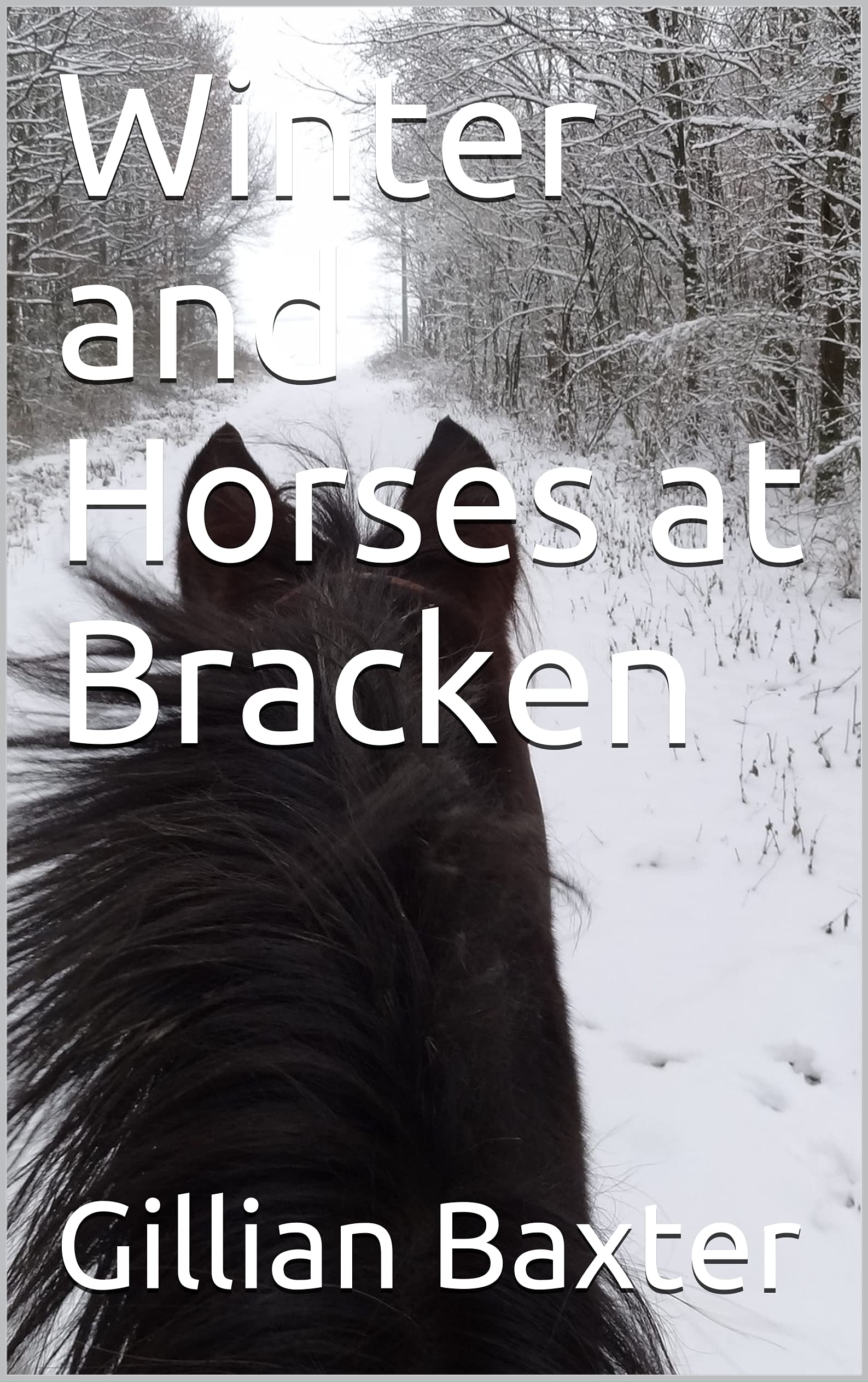 Winter and Horses at Bracken