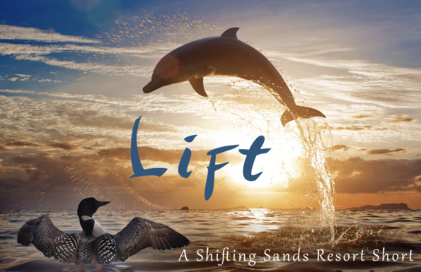 Lift book cover
