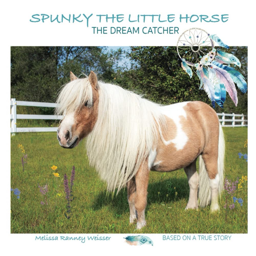 SPUNKY THE LITTLE HORSE THE DREAM CATHCER by Melissa Ranney