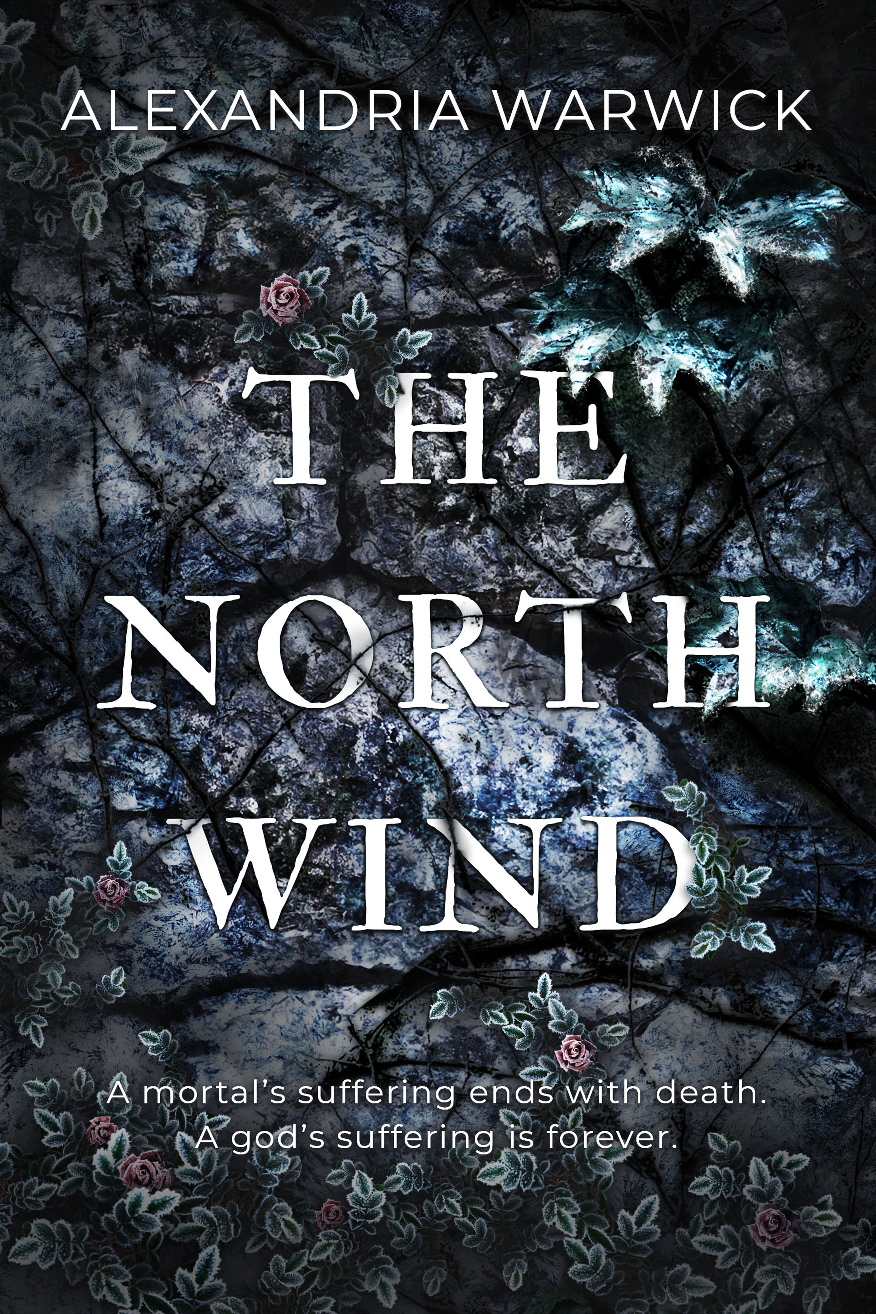 The North Wind (The Four Winds, #1)