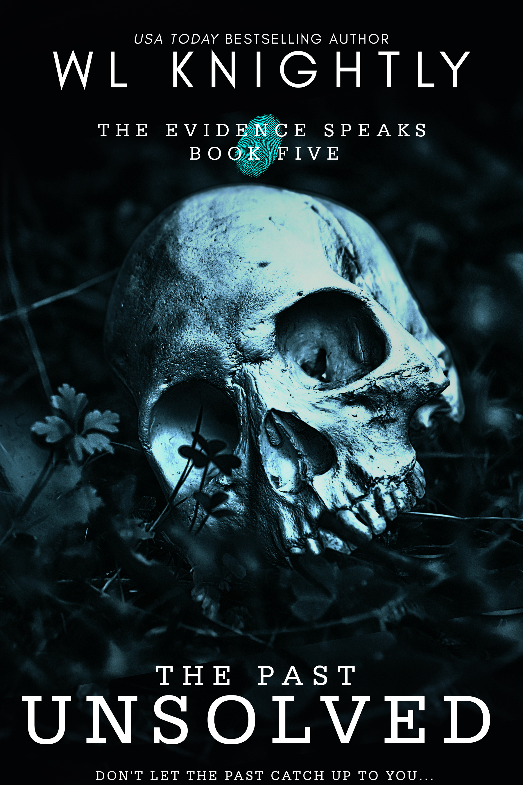The Past Unsolved book cover
