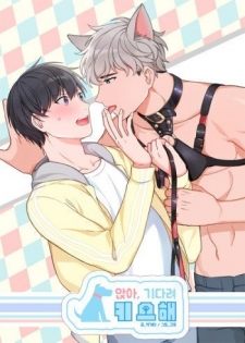 Sit, Wait, Kiss