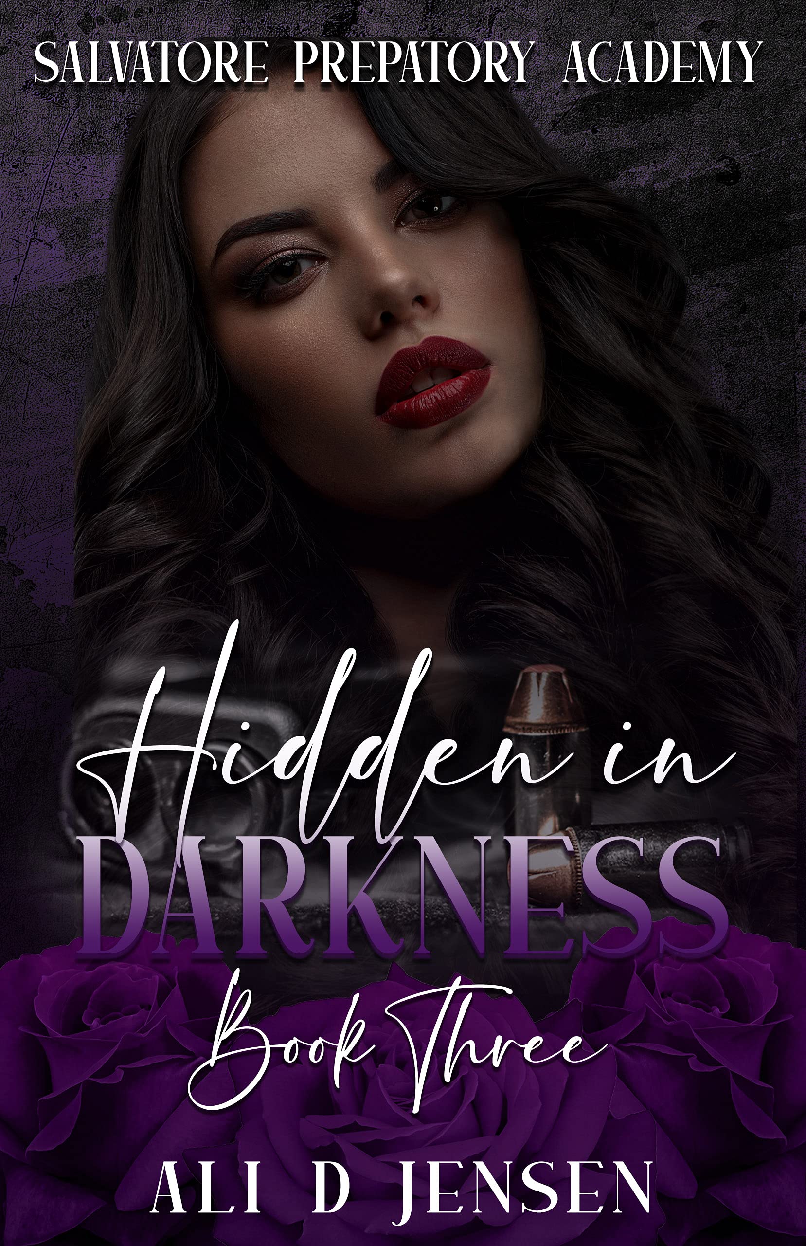 Hidden in Darkness book cover