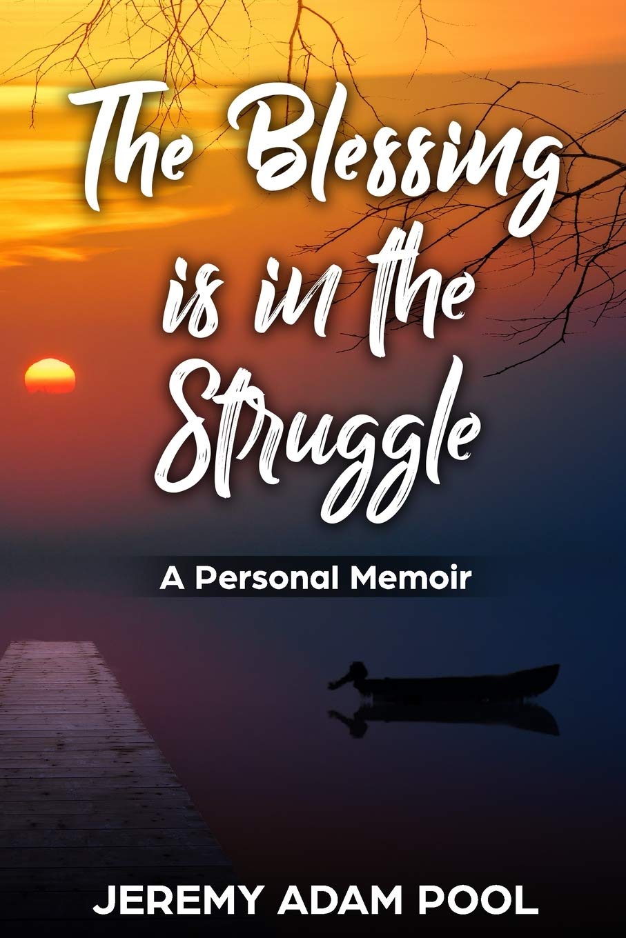 The Blessing is in the Struggle A Personal Memoir by Jeremy Adam Pool