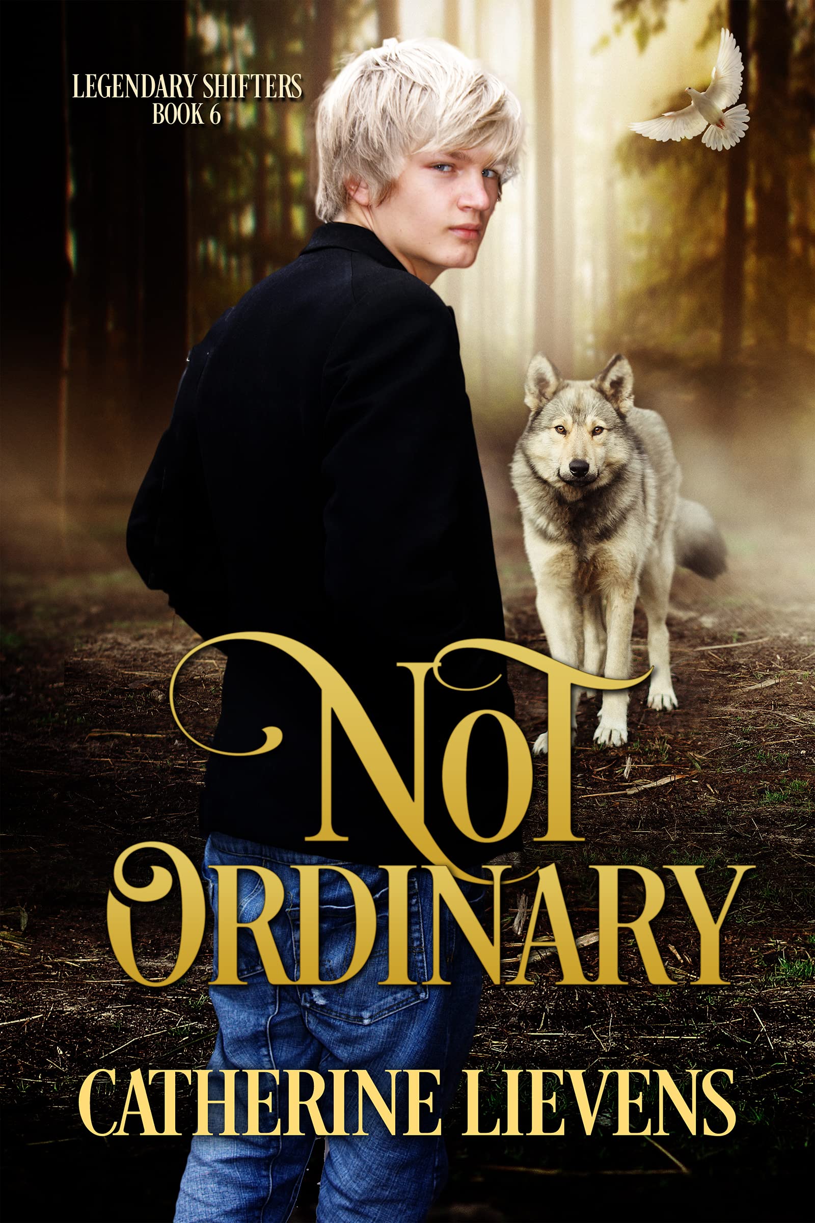 Not Ordinary book cover