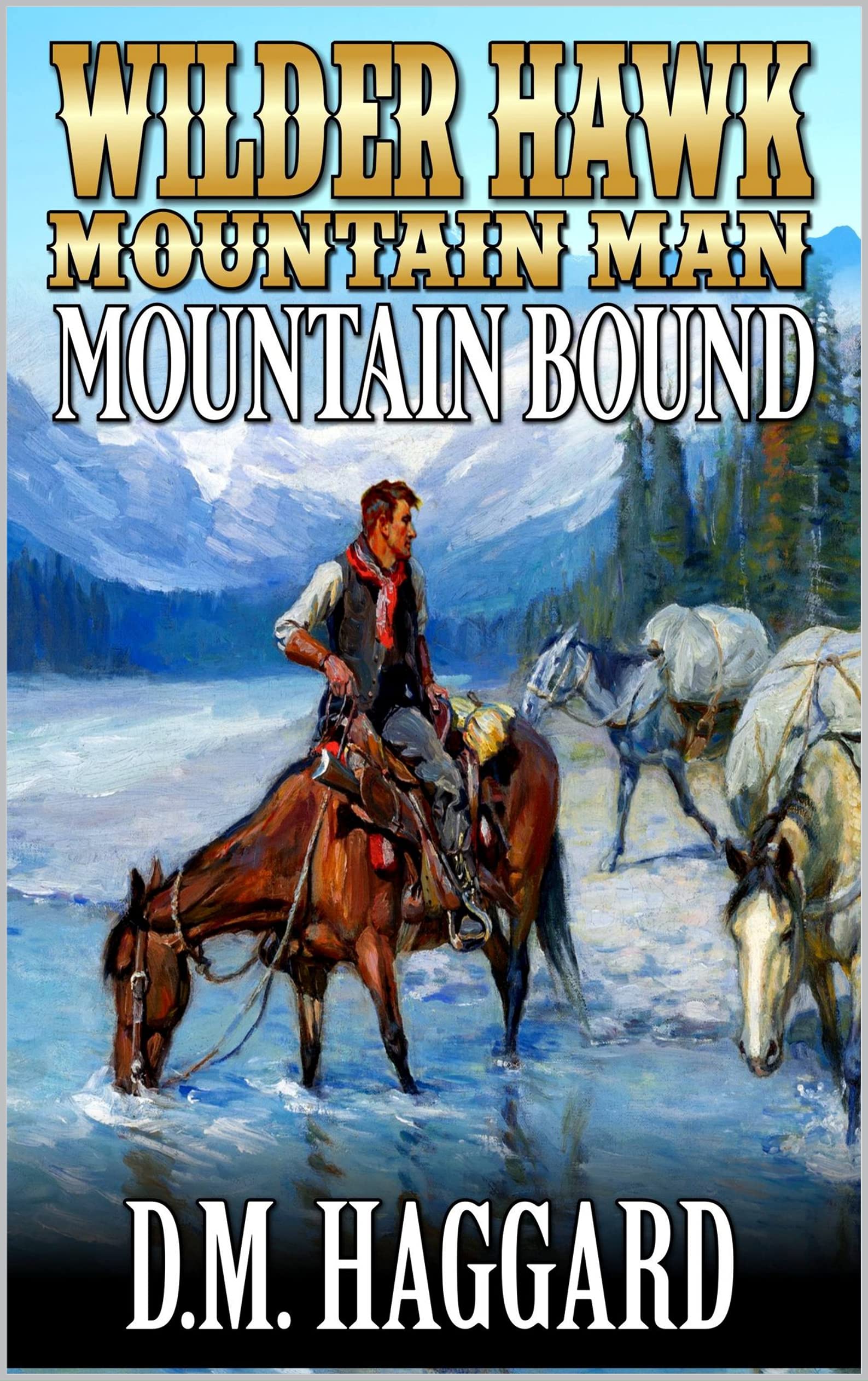 Wilder Hawk book cover