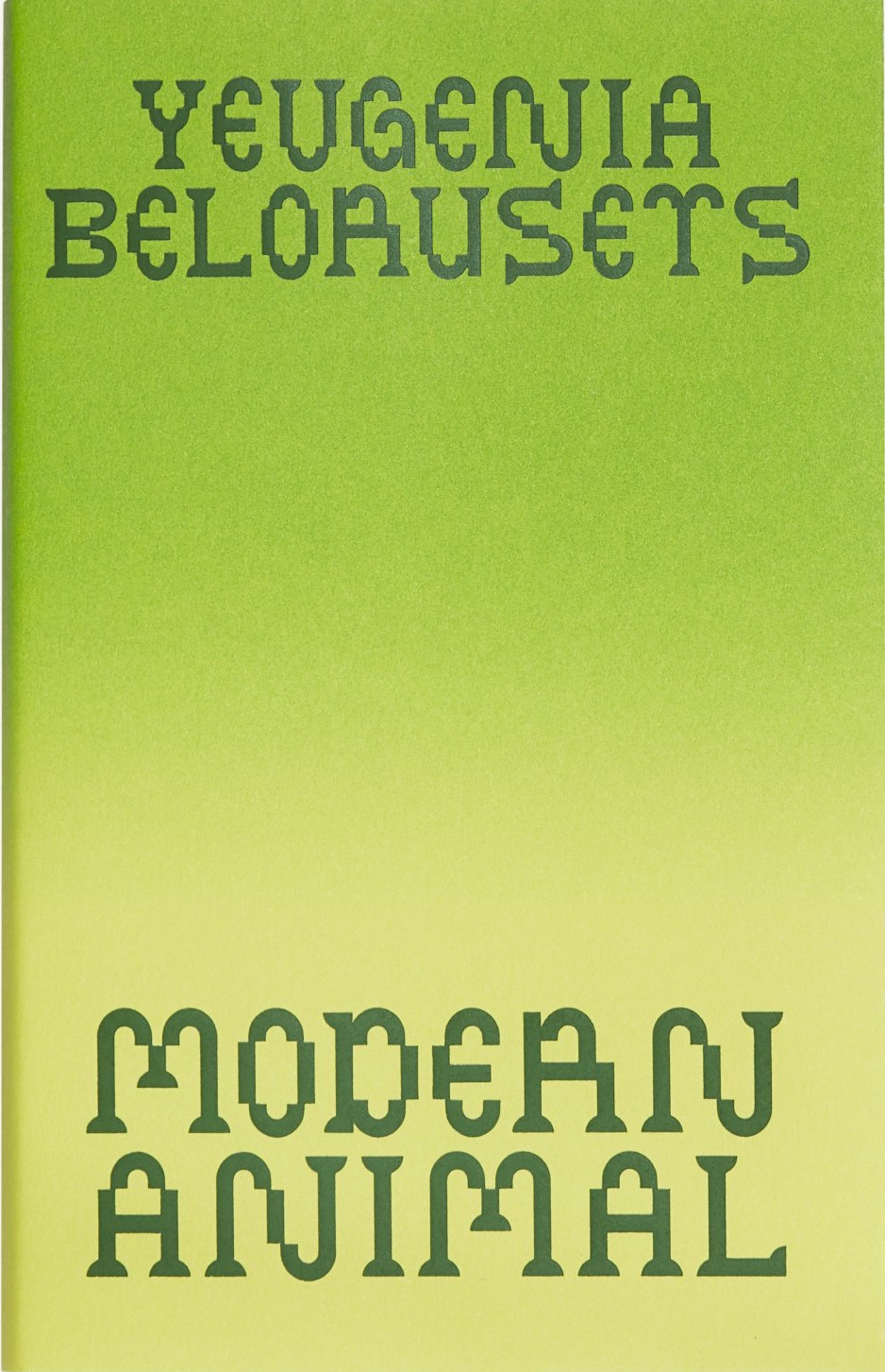 Modern Animal book cover