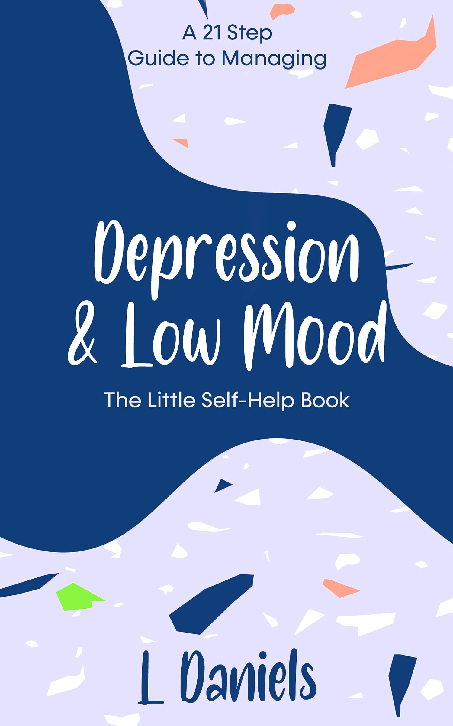 A 21 Step Guide to Managing Depression and Low Mood The Little SelfHelp Book by L Daniels