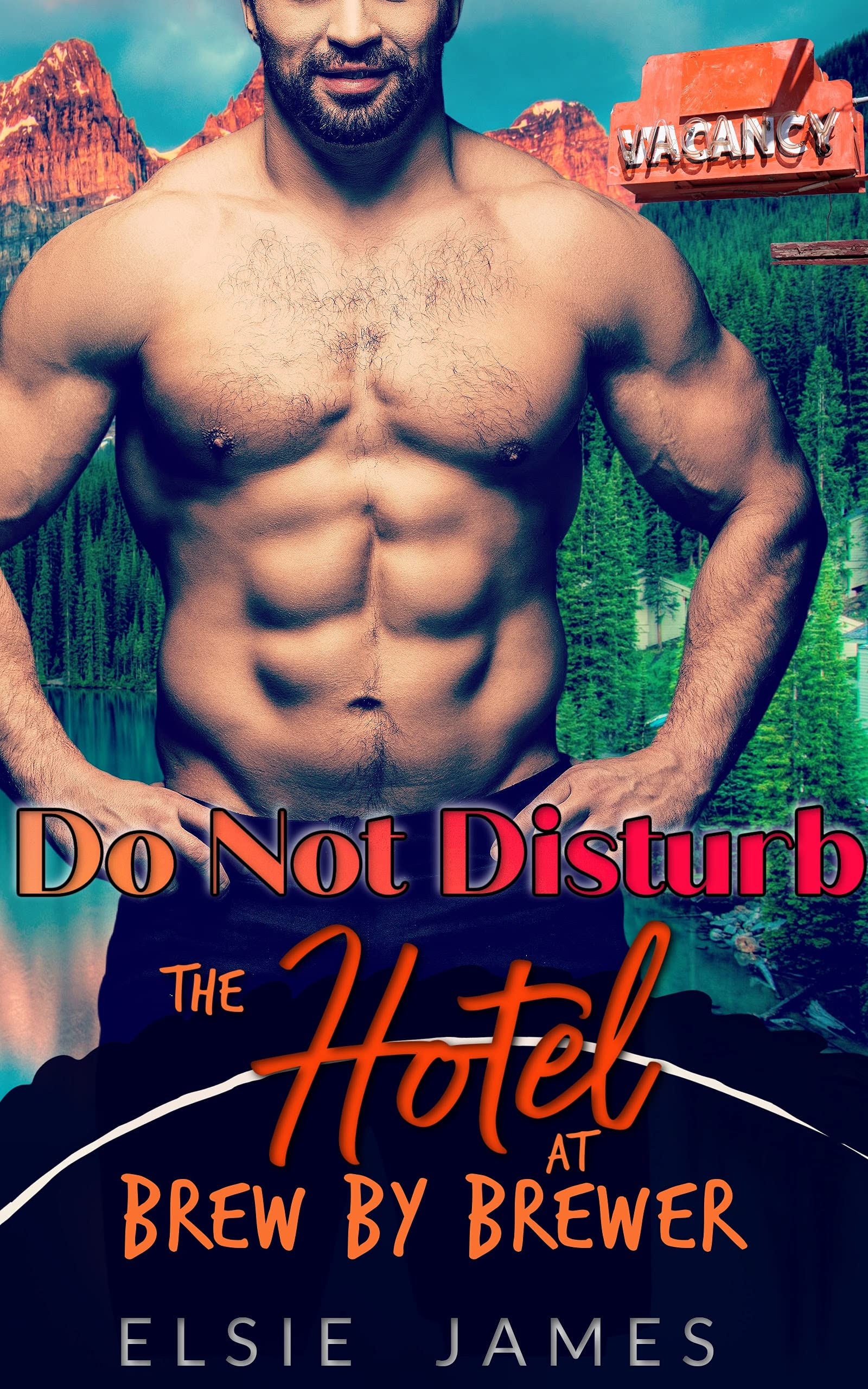 Do Not Disturb book cover
