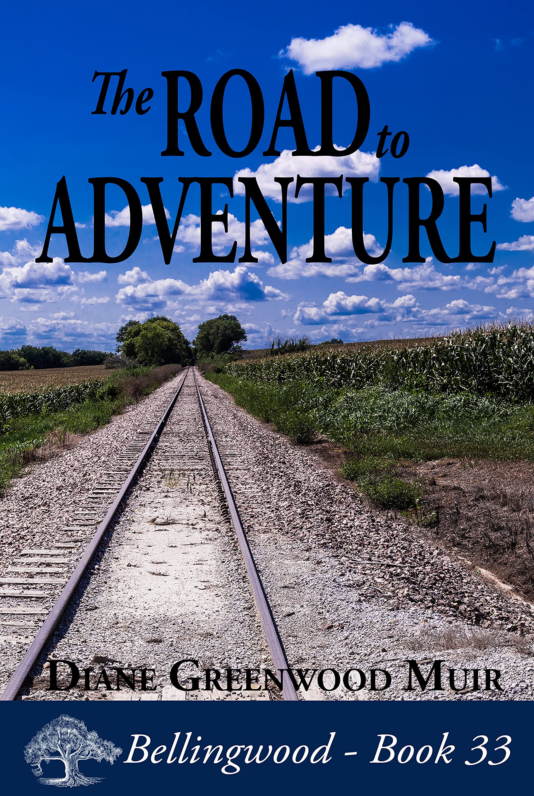 Roads: The Road To Adventure - 545npt4
