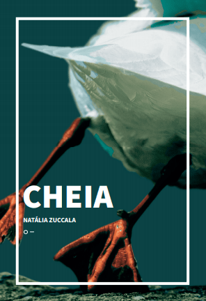 Cheia book cover