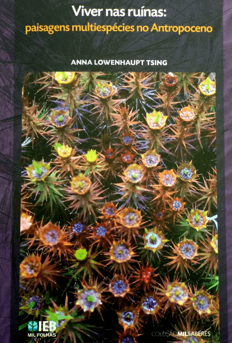 Viver nas Ruínas Paisagens Multiespécies no Antropoceno by Anna