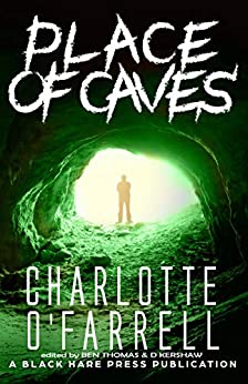 Place of Caves book cover