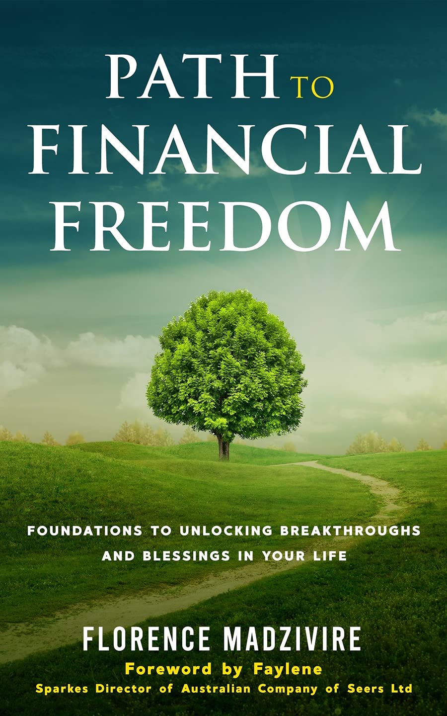 Path To Financial Freedom: Foundations To Unlock Breakthroughs And ...