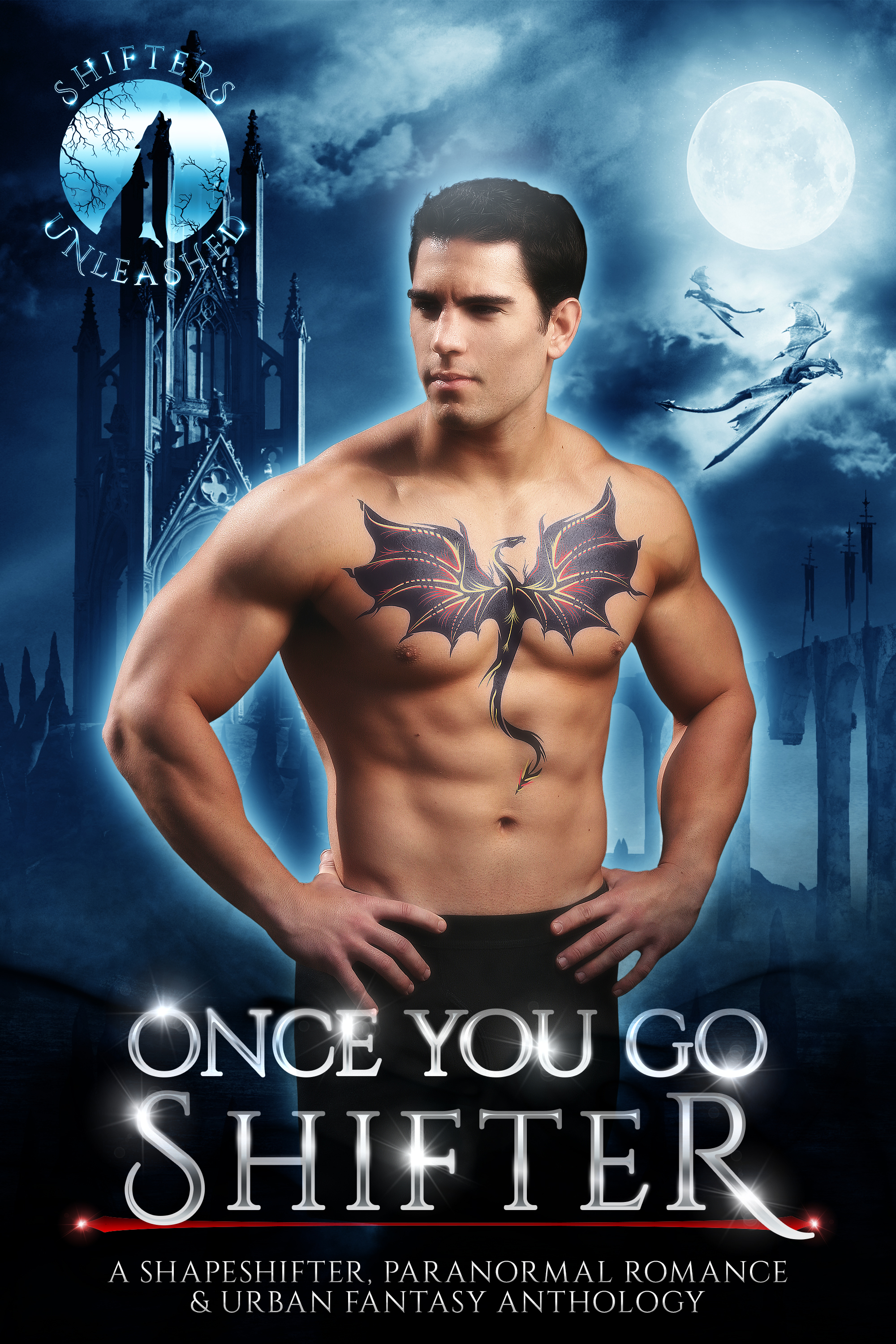 Once You Go Shifter book cover