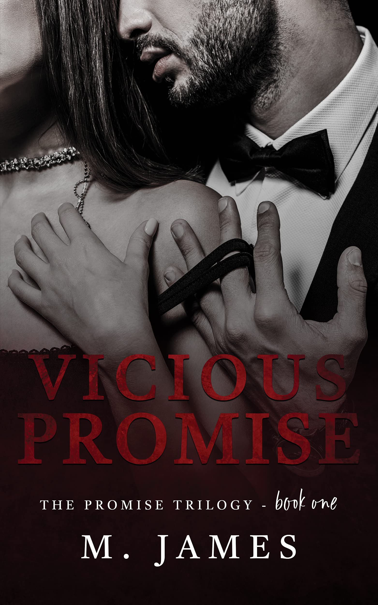 Vicious Promise book cover