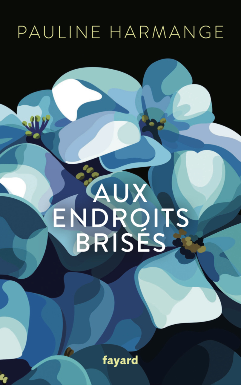 Aux endroits brisés book cover
