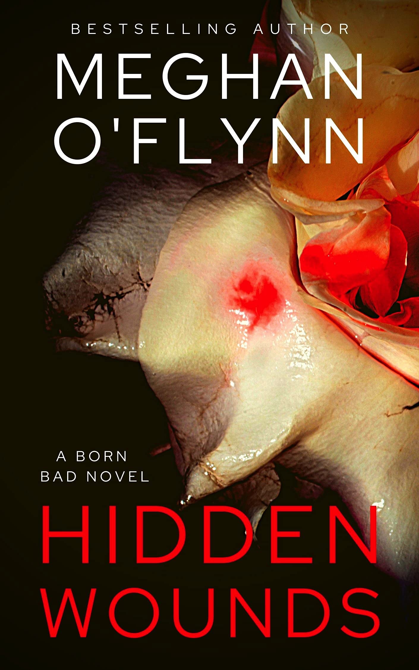 Hidden Wounds book cover
