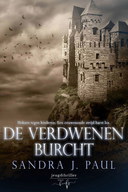 De verdwenen burcht book cover