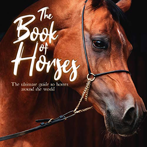 The Book of Horses: The ultimate guide to horses around the world by ...