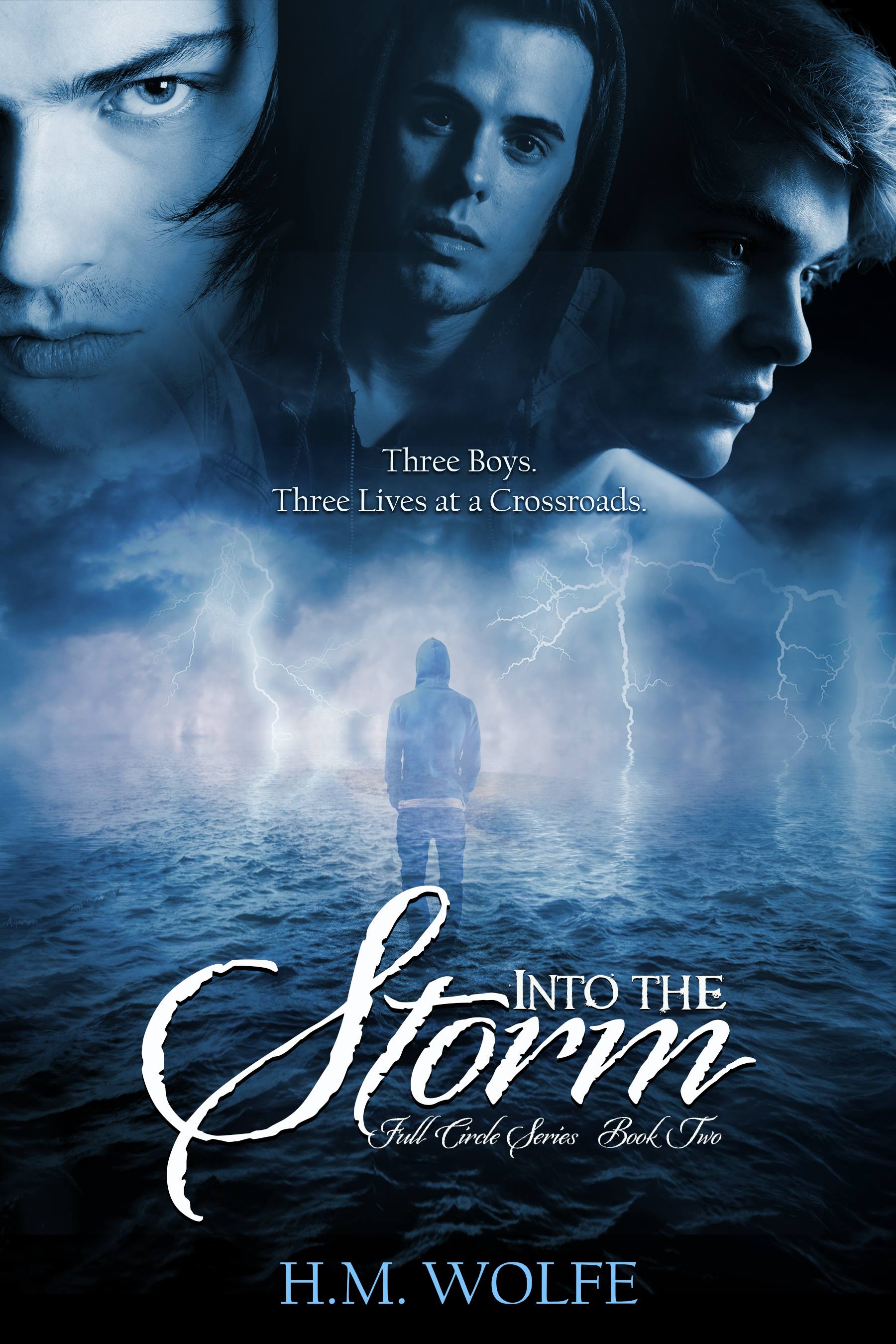 Into the Storm book cover