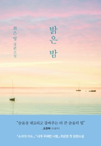 밝은 밤 book cover