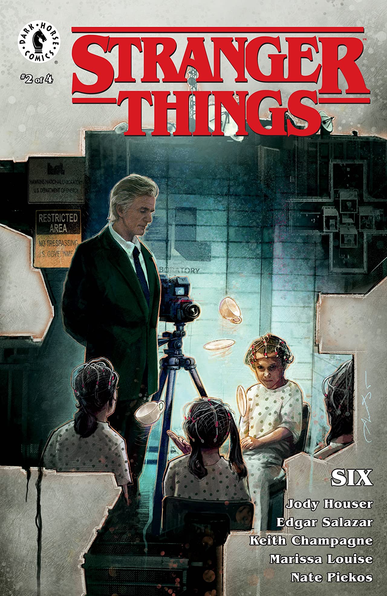 Stranger Things book cover