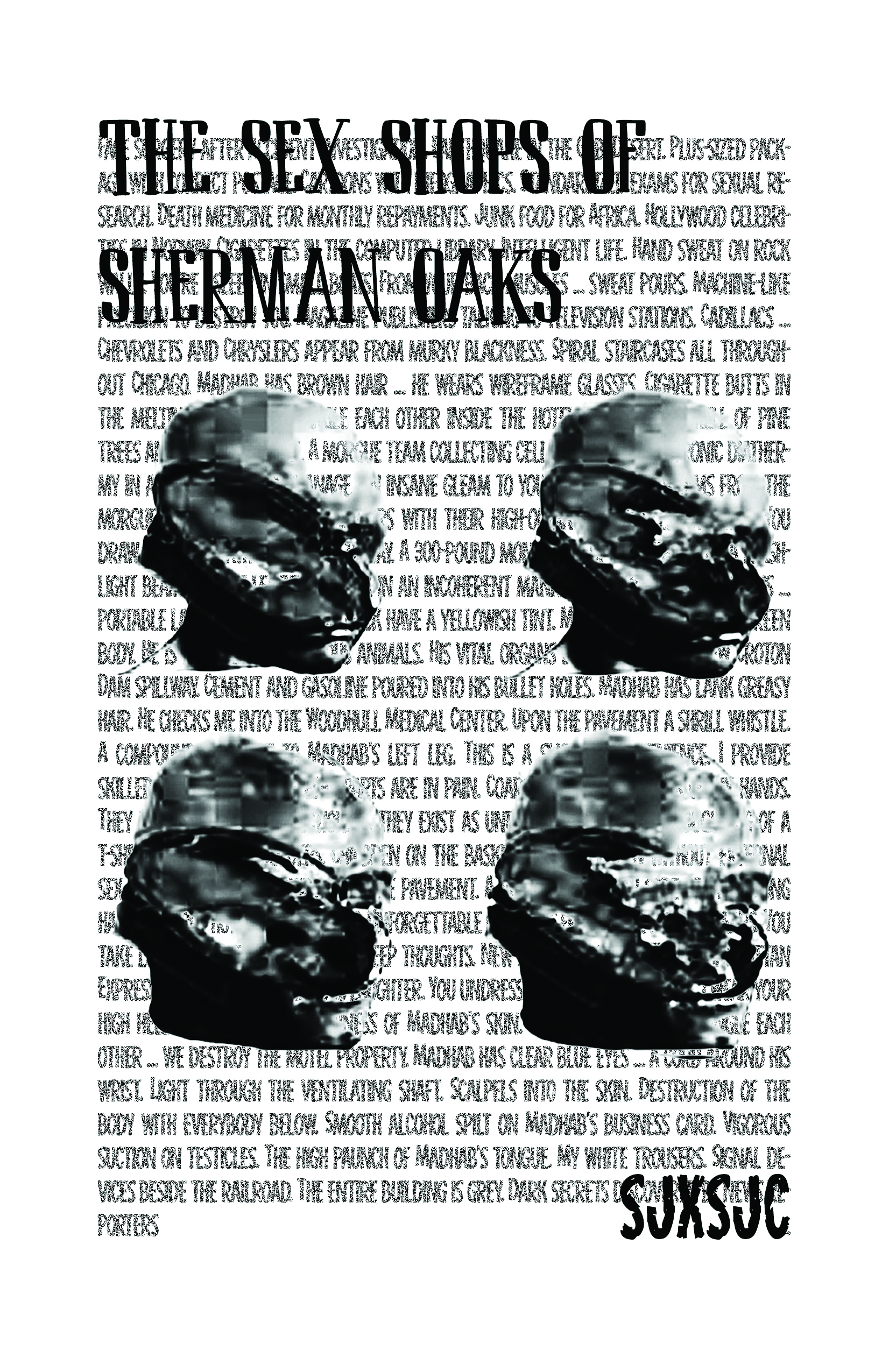 The Sex Shops of Sherman Oaks book cover