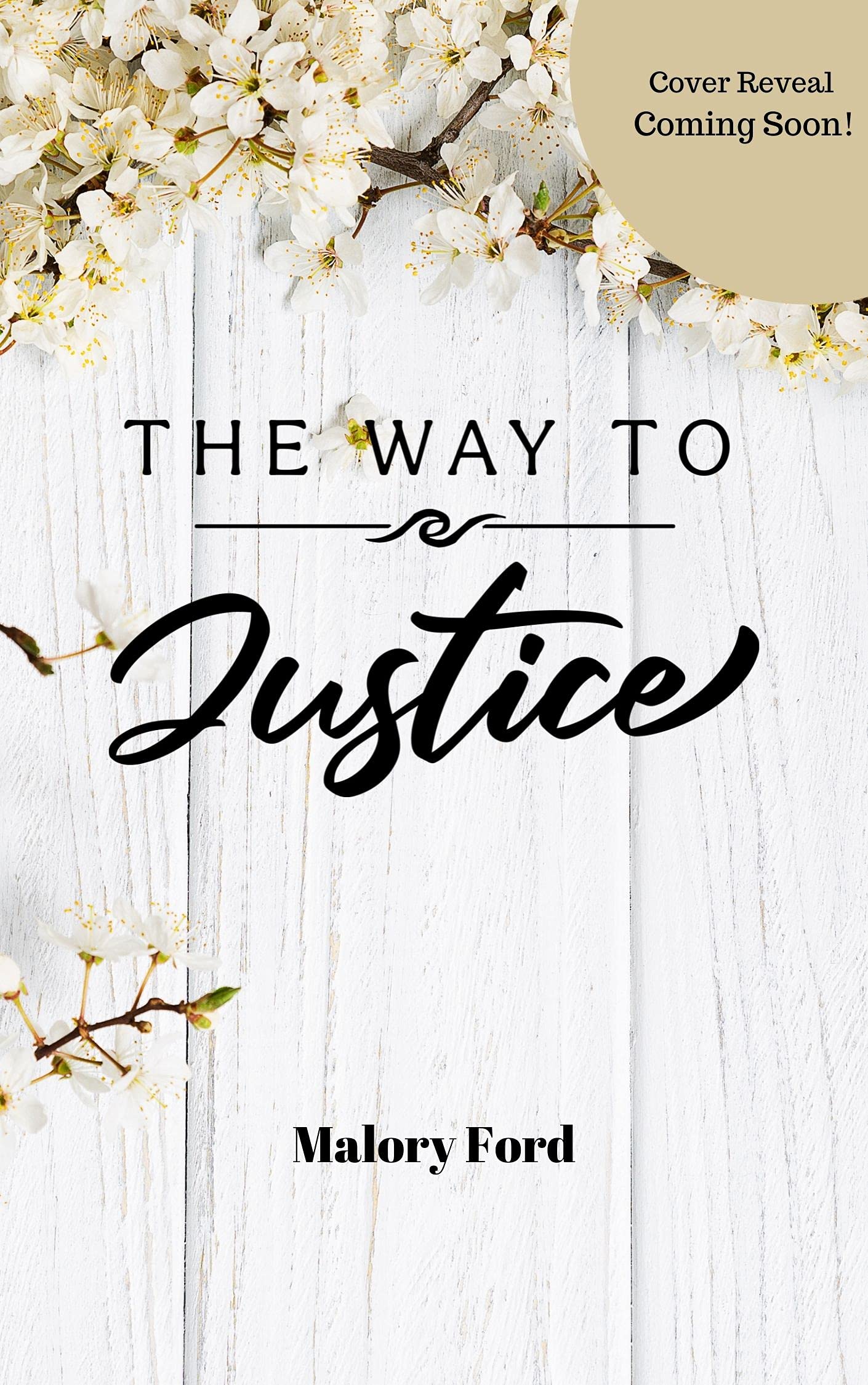 The Way to Justice book cover