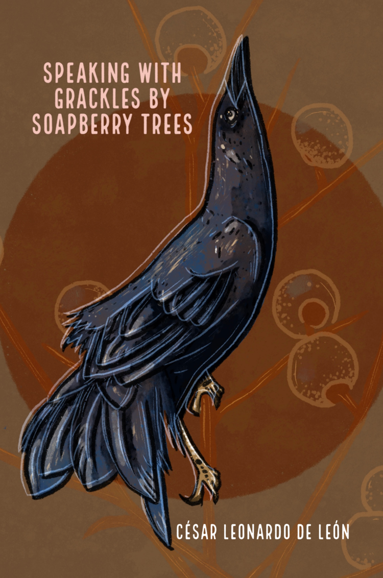 Speaking with Grackles by Soapberry Trees