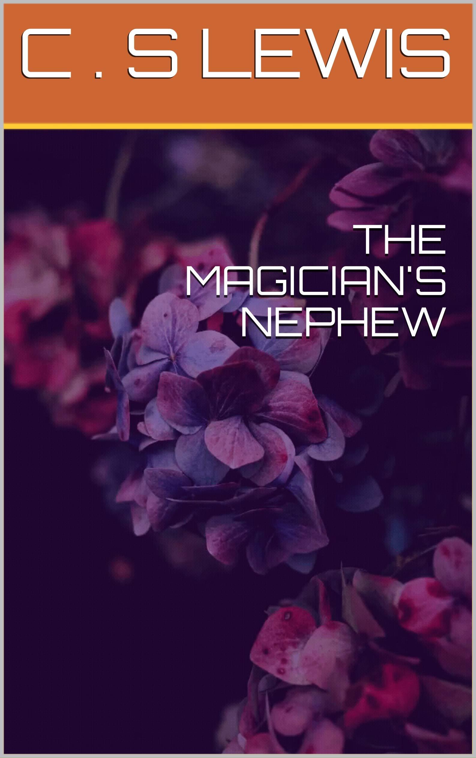 THE MAGICIAN'S NEPHEW by C.S. Lewis Goodreads
