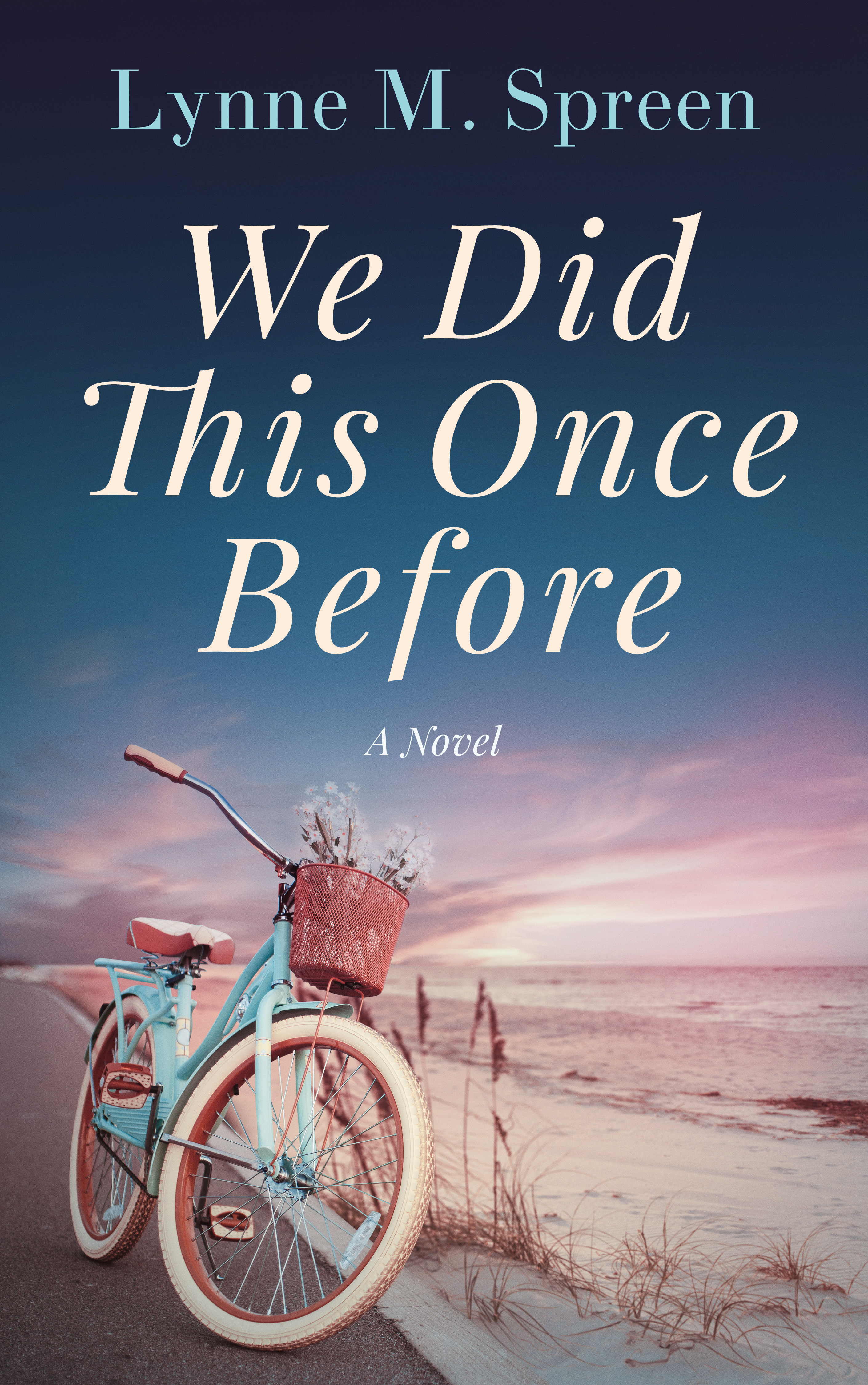 We Did This Once Before: A Novel