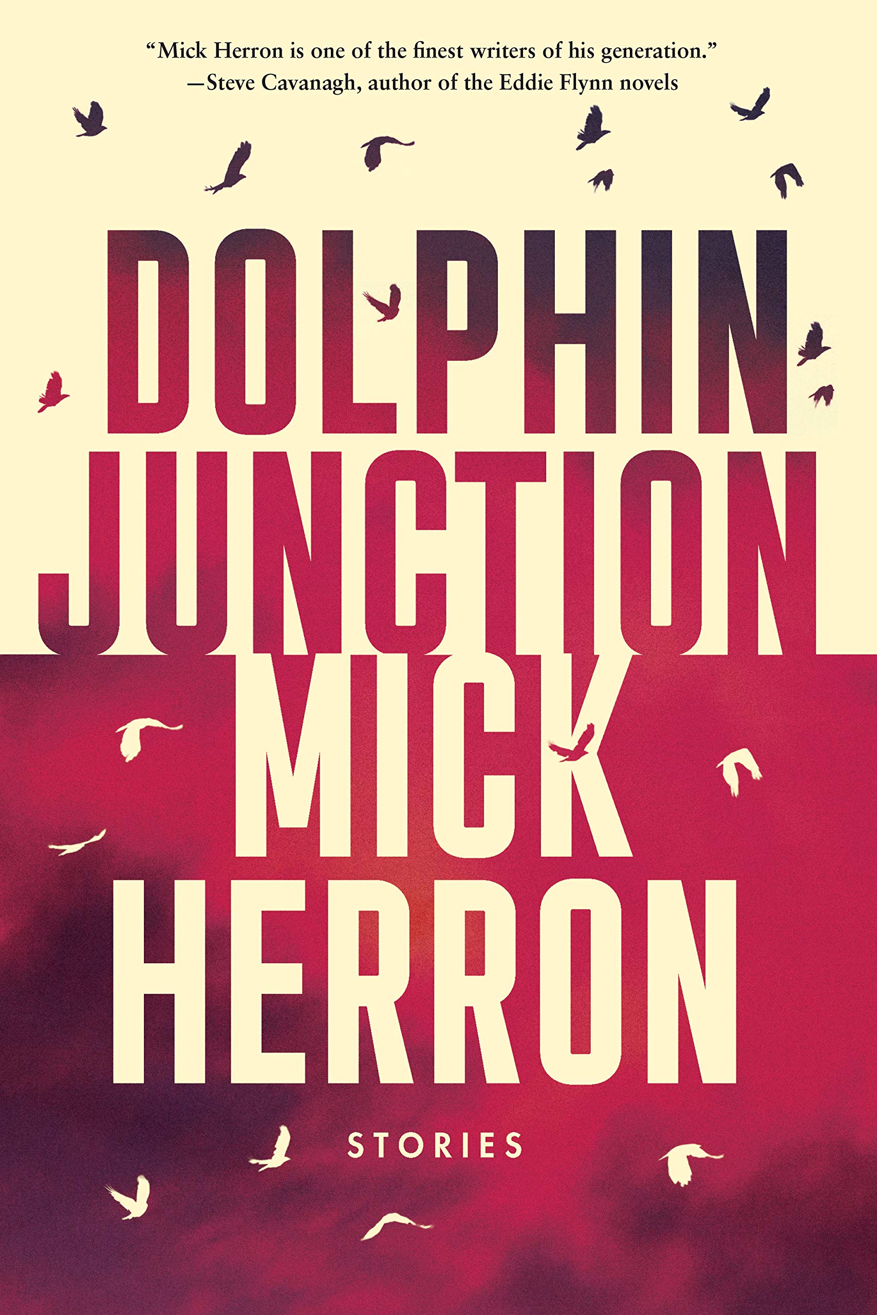 Dolphin Junction book cover