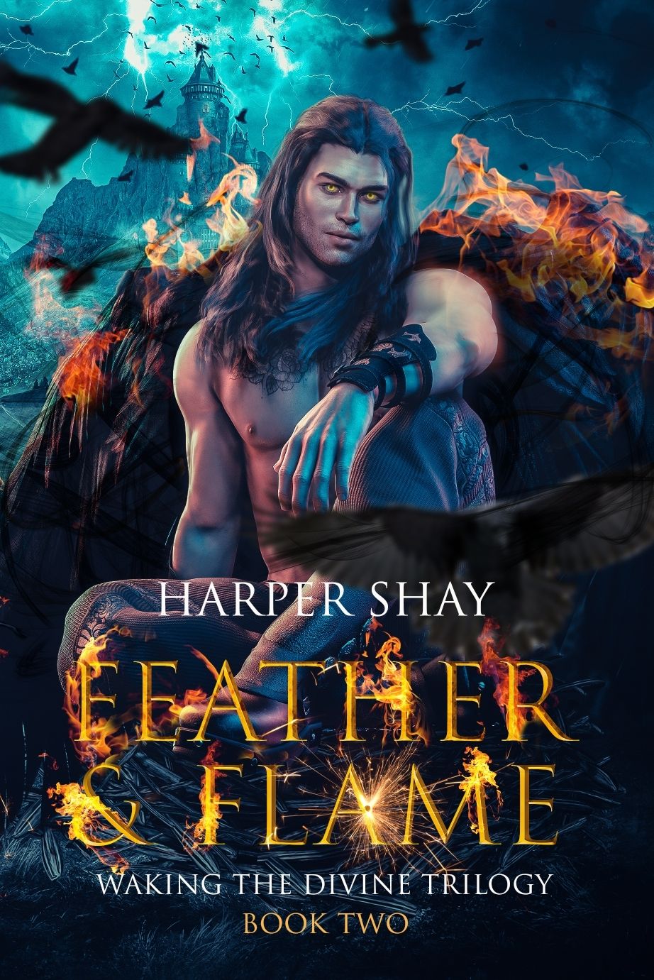 Waking The Divine book cover 2