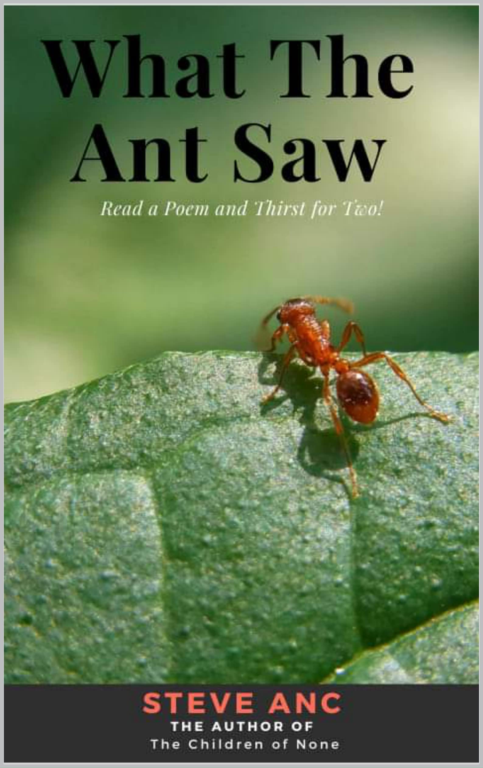 What The Ant Saw by Steve Anc | Goodreads