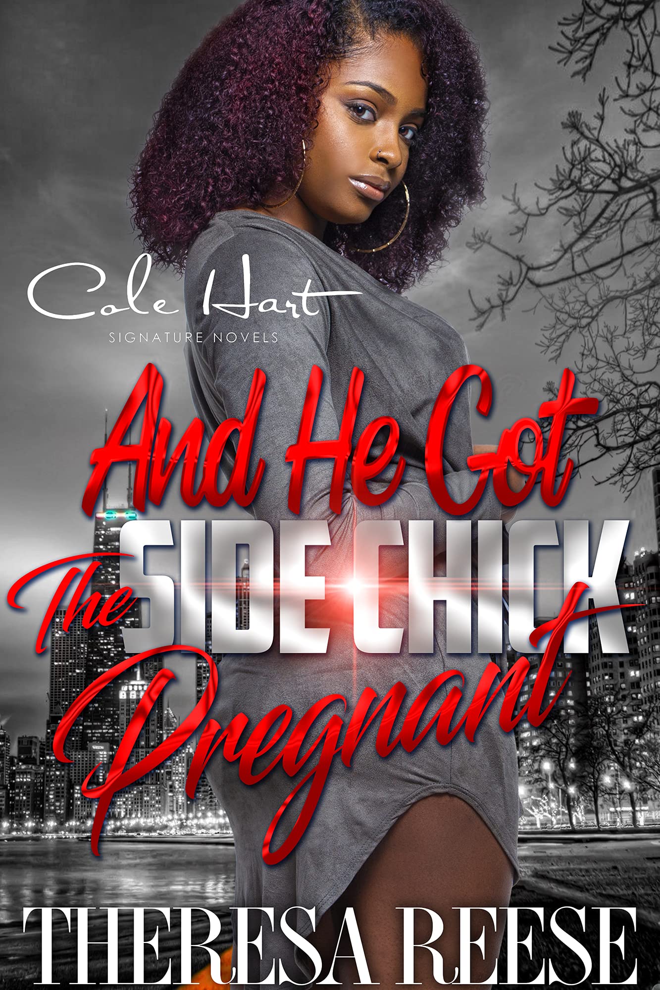 And He Got The Side Chick Pregnant book cover